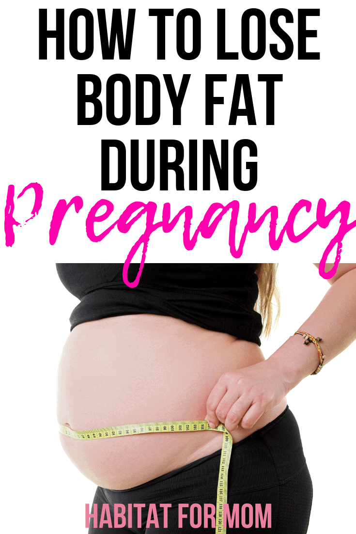 How to lose body fat during pregnancy. 3 Great tips on keeping up with your diet while pregnant! Weight loss tips for pregnancy | Pregnancy diet tips | Pregnancy health and fitness. #pregnancydiet #pregnancyhealth #habitatformom