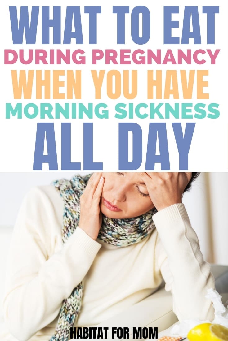 What to Eat When You Have Morning Sickness All Day (10 healthy recipe ideas) Habitat for Mom