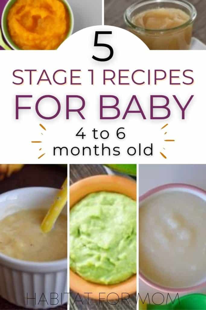 baby food recipes for 4 6 months old