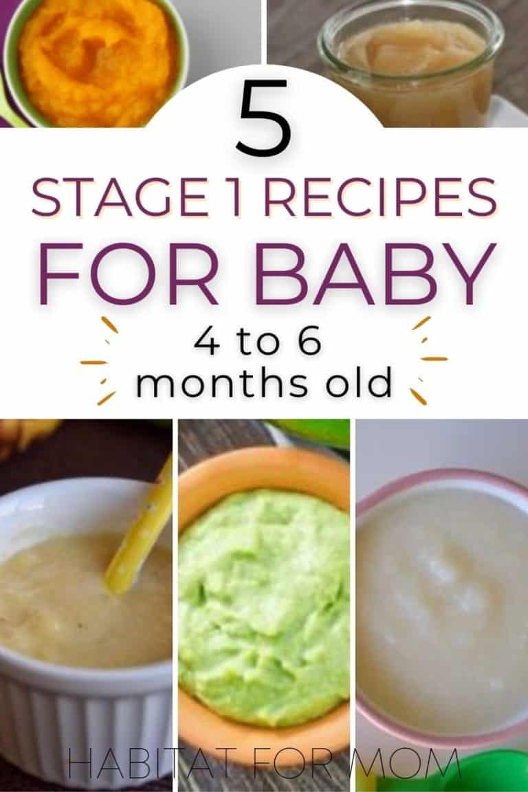 5 Easy Stage 1 Homemade Baby Food Recipes 46 Months Habitat for Mom