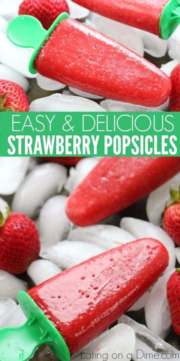 30+ Ultimate Summer Popsicle Recipes – Habitat for Mom