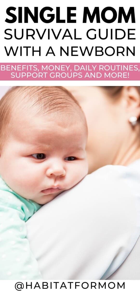 How to Survive as A Single Mom with A Newborn Habitat for Mom