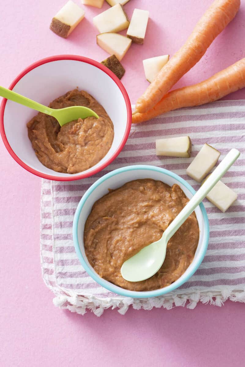 5 Easy Stage 3 Homemade Baby Food Recipes 9-12 Months – Habitat for Mom